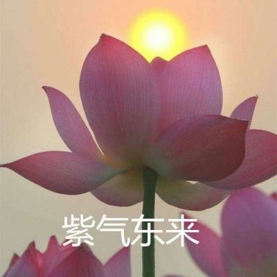 屠龙变态版手游下载