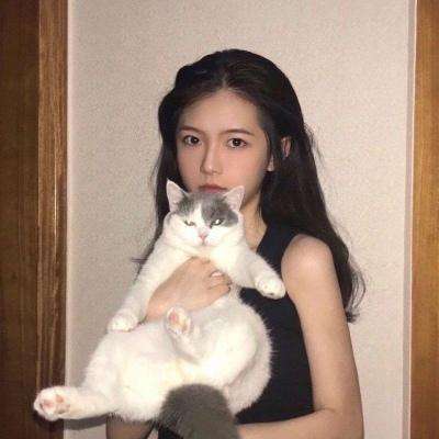 我的英雄学院入学季4399版下载